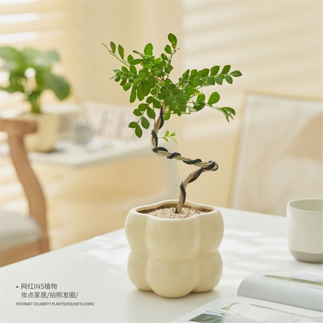 Small and Simple Ceramic Flower Pots (70).jpg