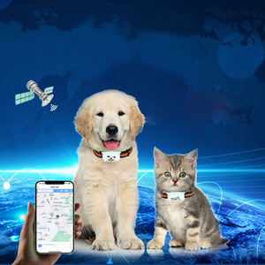 4G Gps Tracker Support Real Time Position for Pet